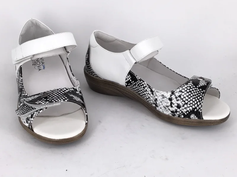 Black Snake/White